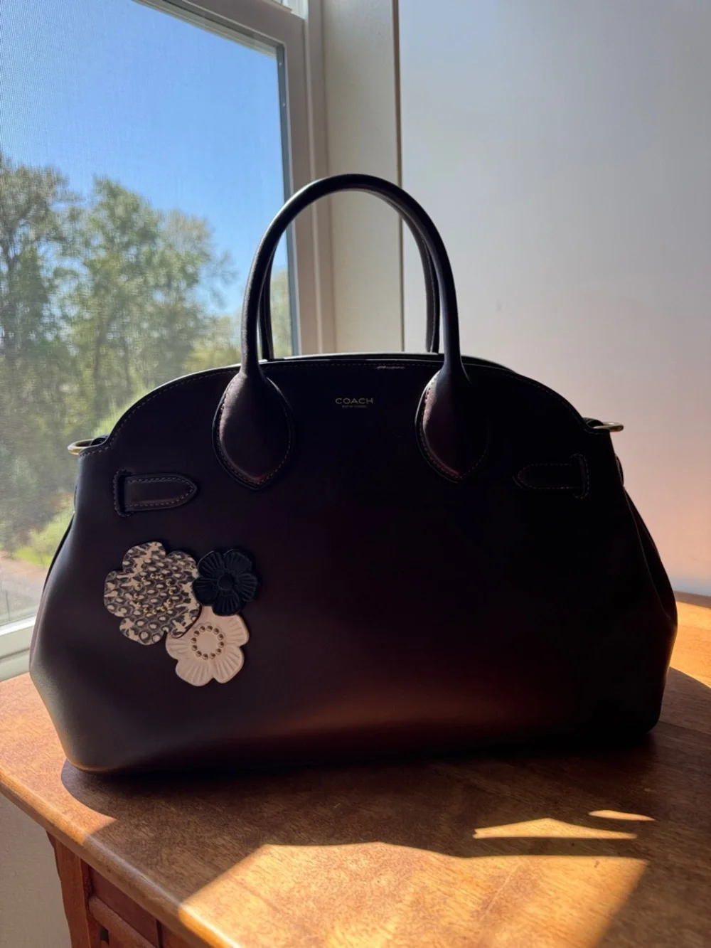 Coach Empire 35 Carryall in Maple with Customizations!! - Picture 9 of 13